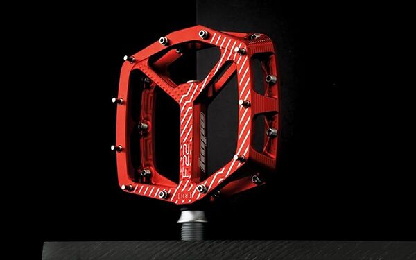 Bàn đạp xe đạp HOPE Pedale F22 Flat Pedals